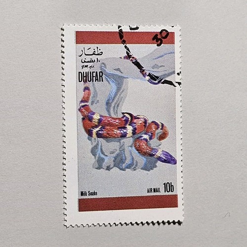 Milk snake stamp27 stamp - milk,