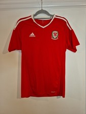 Wales 2016/2017 Home Football