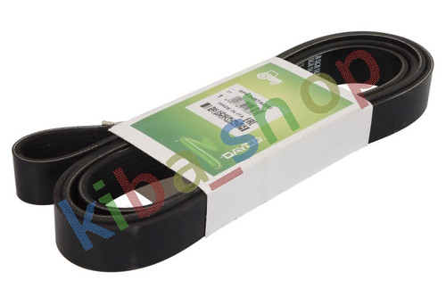 Multi belt 8pk2497 - multi-v-belt,