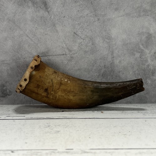 Antique powder horn - antique, leather