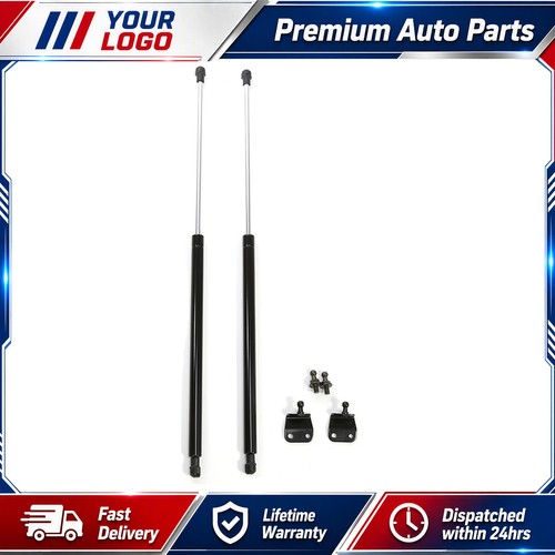 Universal gas struts - 2x,