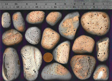 17 Rustic UK NORTH SEA BEACH POTTERY pebbles 1.51 Kg Ocean art Dunbar Scotland