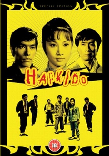 Hapkido dvd angela mao - hapkido,