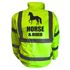 HORSE AND RIDER HIGH