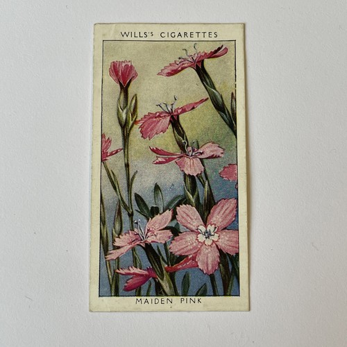 Will cigarette cards wild - cards.,