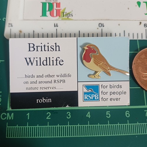 Robin rspb british wildlife - robin,
