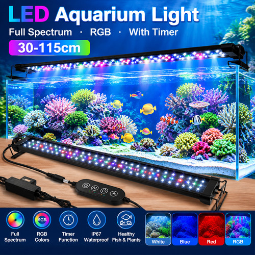 New aquarium fish tank - aquarium, led
