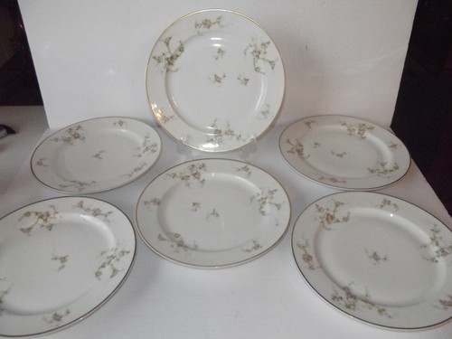 Dinner plates p l - (6), 9.75