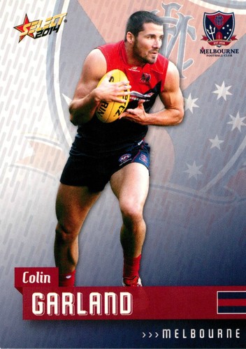 2014 melbourne demons afl card - melbourne,