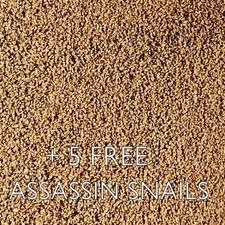 10g FINE FOOD FOR LIVE ASSASSIN SNAIL EATER CLEA HELENA FISH TANK AQUARIUM