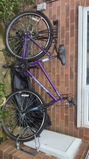 purple Challenge Cayman Bike