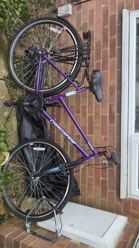 Purple challenge cayman bike - purple,