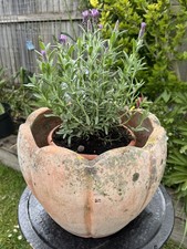 Vintage patio jardiniere - patio, pot
