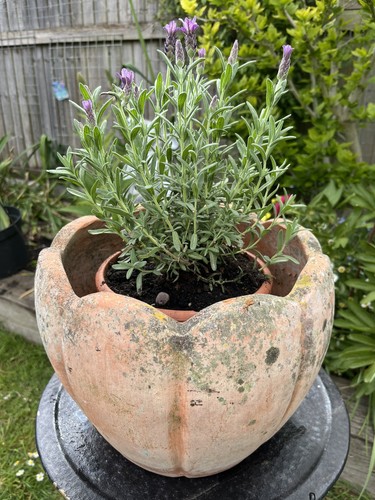 Vintage patio jardiniere pot - vintage,