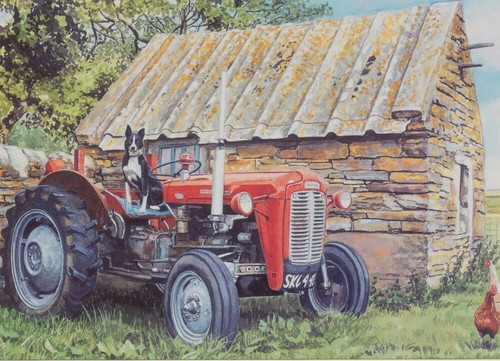 Massey ferguson tractor - massey-ferguson, 35