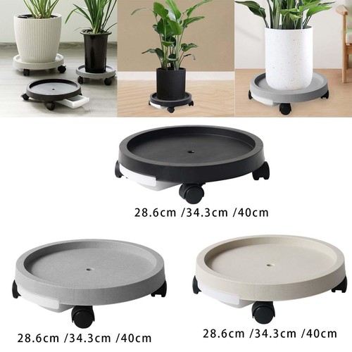 Plant saucer rolling - rolling,