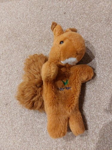 Center parcs red squirrel hand - center,