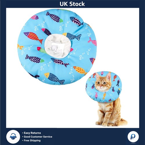 Soft pet recovery collar - pet, cat