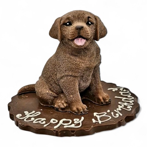 Chocolate labrador dog a - labrador, on