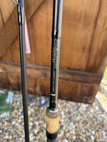 Fox rage predator warrior - fox,