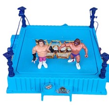 Vintage WWF Hasbro Wrestling