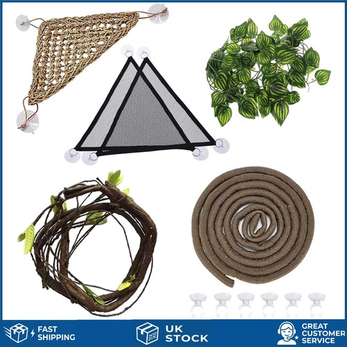 Bearded dragon hammock set - hammock,