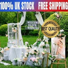 Balloon Arch Door Backdrop