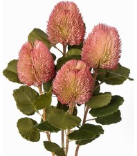 Artificial Plants Fake Wisteria Bonsai Tree with Pink Wisteria Flower, for Ho...