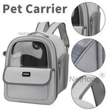 Spacious Breathable Cat