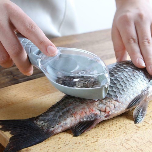 Fish descaler skin scale - x,
