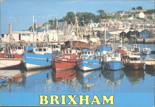 Brixham inner harbour fishing - brixham,