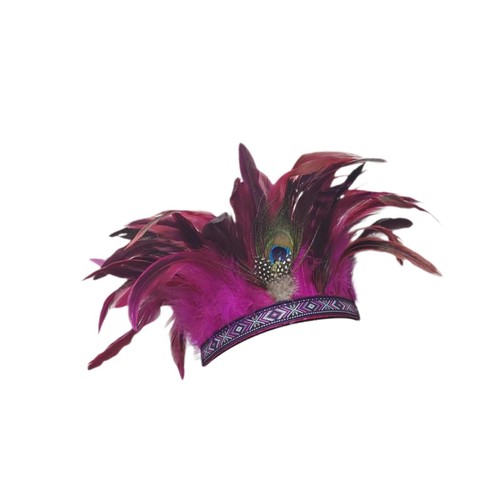 Feather headdress indian - feather,