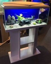 **BRAND NEW** LARGE Fish Tank Aquarium & Stand: Heater, Filter & More Included