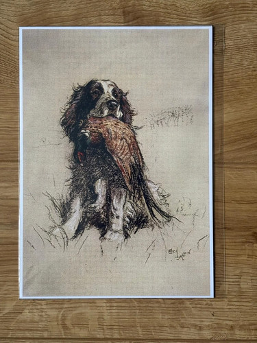 Cecil aldin spaniel dog - aldin,