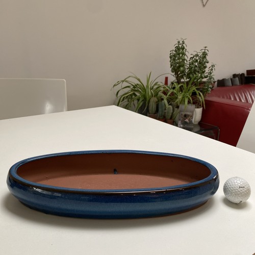 Large bonsai pot 35cm - pot, long