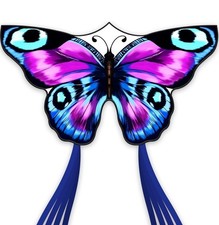 Colorful Butterfly Kite,Easy
