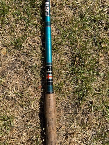 Daiwa quiver tip rod good - rod, in