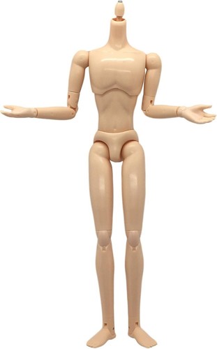 New obitsu doll 27cm - doll,