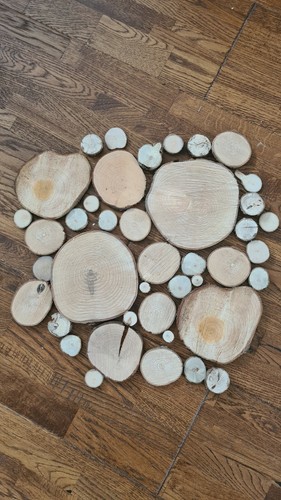 Wood slices discs - slices, 1-16cm