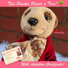 Aleksandr Orlov | Yakov's Meerkat Compare Market Adoption Certificate Plant Tree