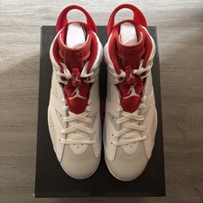 Nike Air Jordan 6 Alternate