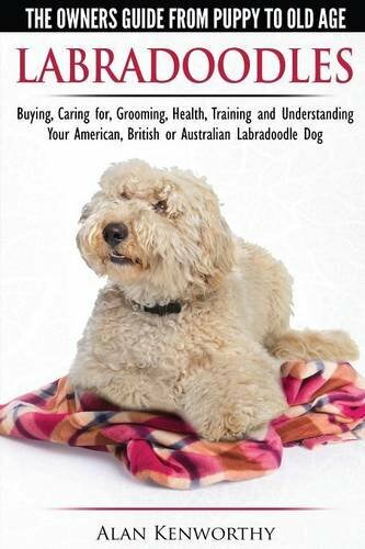 Labradoodles the owners - labradoodles,