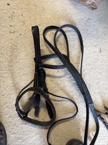 English leather cob - english,