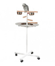 Parrot supplies bar - parrot-supplies, t-bar