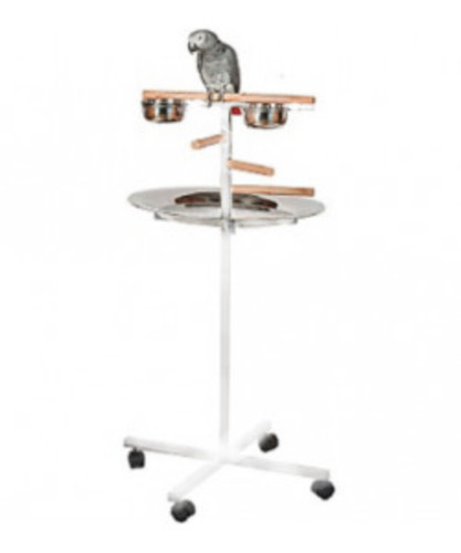 Parrot supplies bar - parrot-supplies,