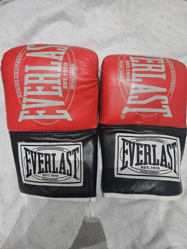 Everlast boxing gloves - everlast,