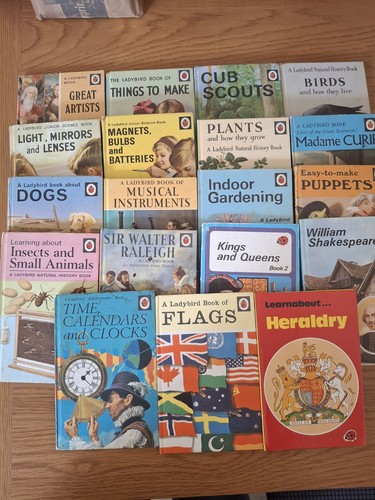 Vintage mixed ladybird - vintage,