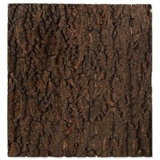 Repti Planet Cork Background