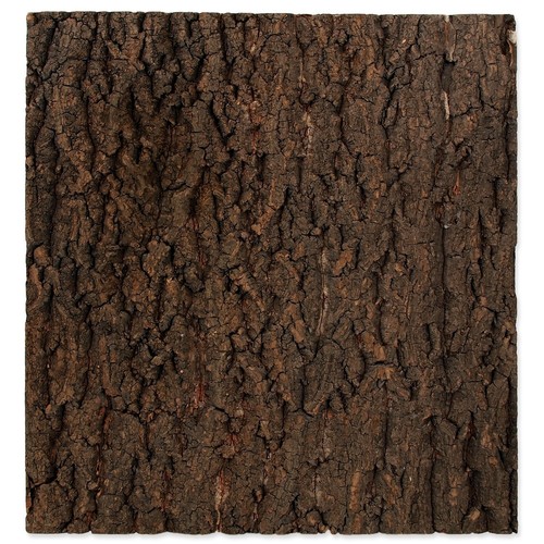 Repti planet cork background - planet,