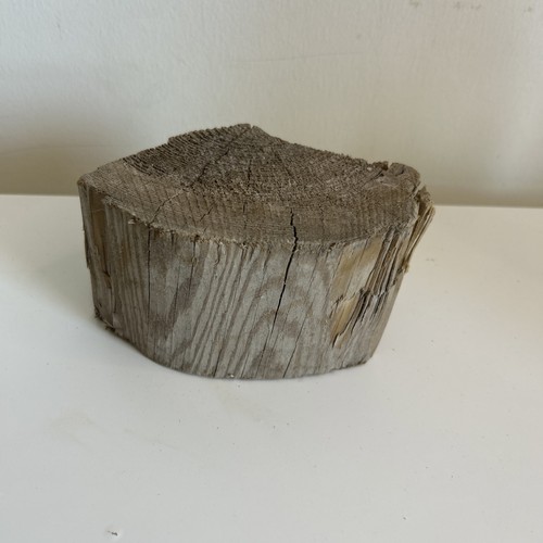 Quarter tree trunk - quarter,
